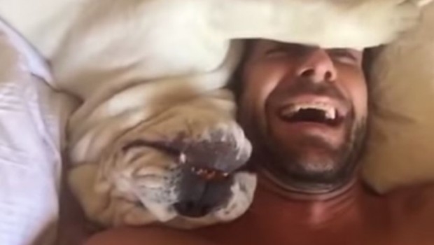 Umrijet ćete od smijeha kada vidite kako ovaj pas mrzi da se budi ujutru...