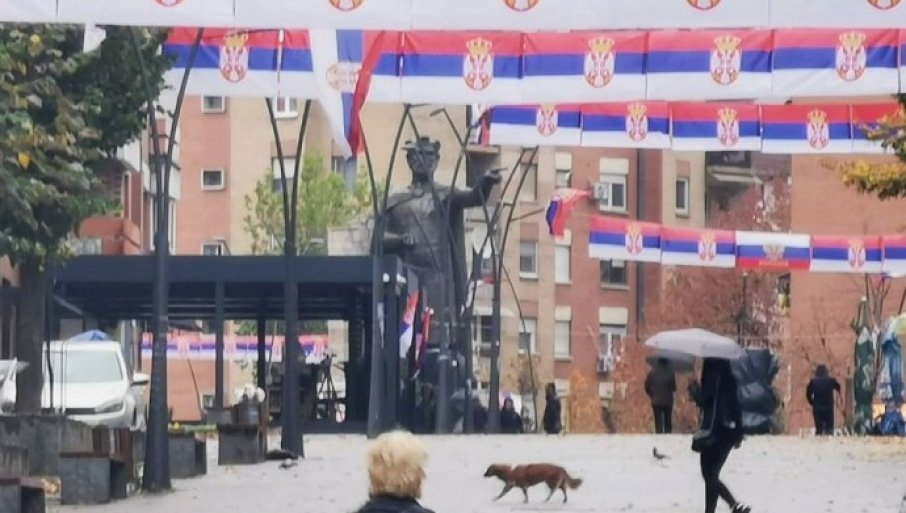 "Poruka Evropi i svijetu": Predstavnici Srba prave veliki skup u Kosovskoj Mitrovici