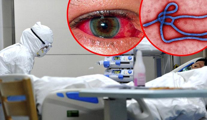 Virus ebole je možda stigao iz svemira!