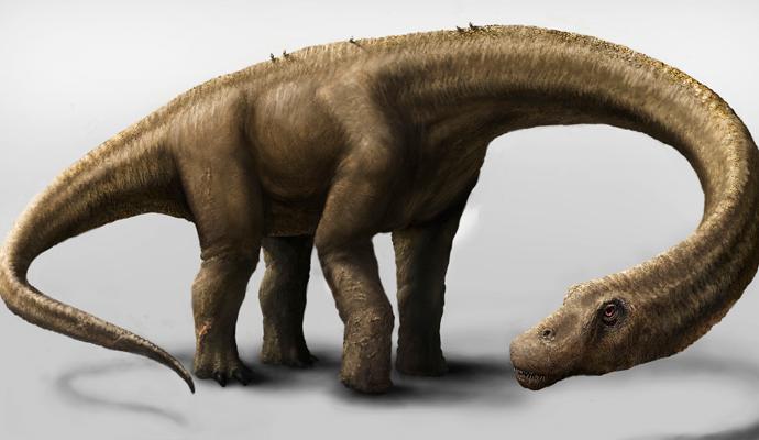 Bio dug 26 metara: Pronađeni fosilni ostaci najvećeg dinosaurusa ikada