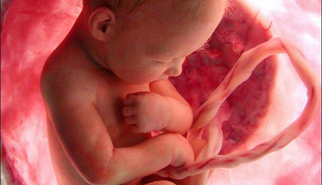 Prvi put u historiji: Fakultet nudi kurs o abortusu