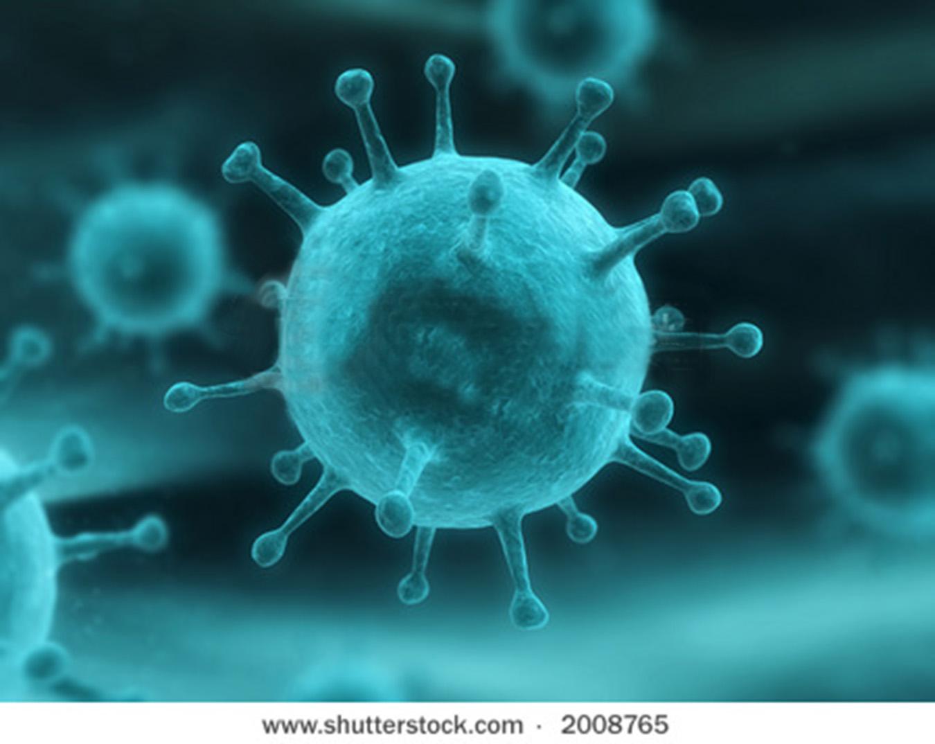 Naučnici probudili ubicu koja je bila zaleđena 700 godina: Zombi virus prijeti životu na zemlji?!