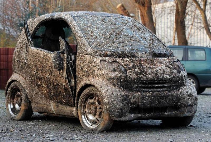 Ovo je Smart koji je prodat iako je prekriven školjkama i muljem