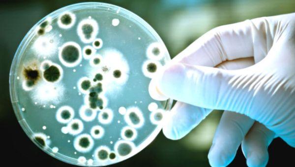 Novi antibiotik za super-bakterije