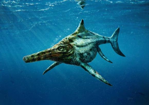 Prahistorijski delfin iz Škotske: Živio prije 170 miliona godina i bio dugačak 4,3 metra