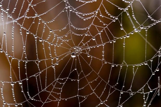 Superpauci proizvode najjača vlakna poznata čovjeku