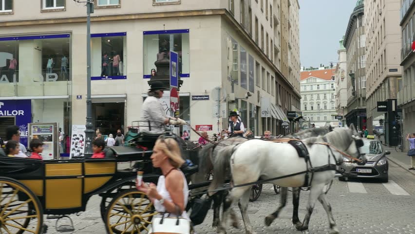 Vrućina otjerala konjske zaprege iz Beča