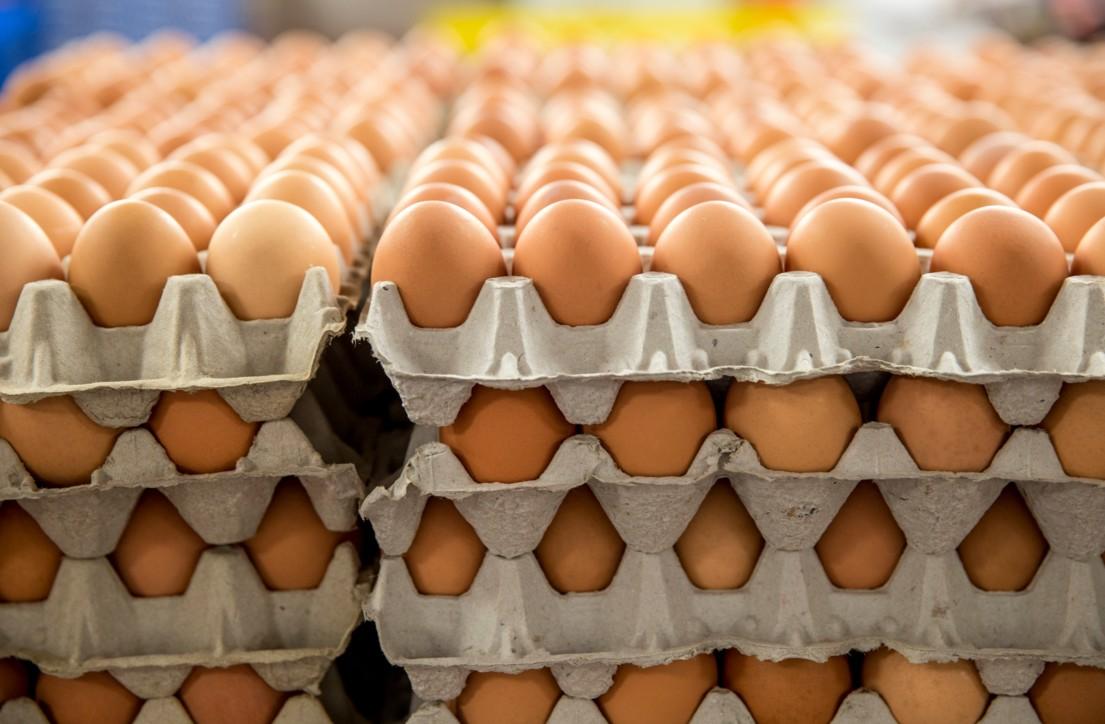 Slovenija povukla manju količinu jaja iz Njemačke i Austrije