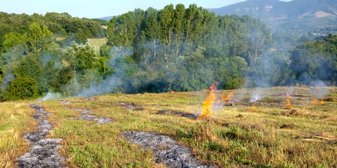 Šesnaest požara na području HNK
