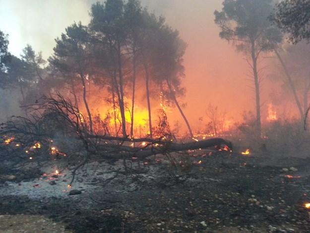 Požari ugrožavaju kuće u Dalmaciji, stigla vojska