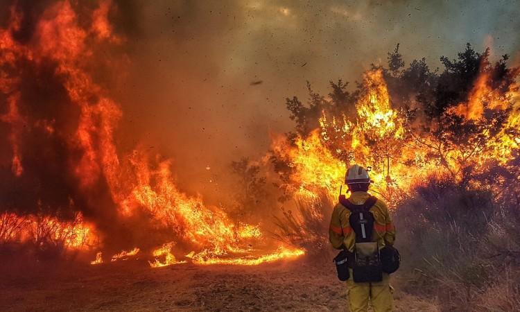 Raste broj žrtava požara u Portugalu