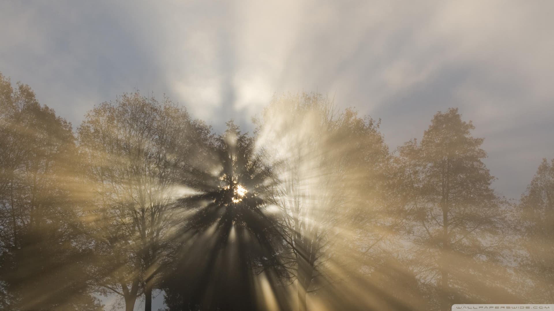 Vrijeme danas: Očekuje nas sunčan dan