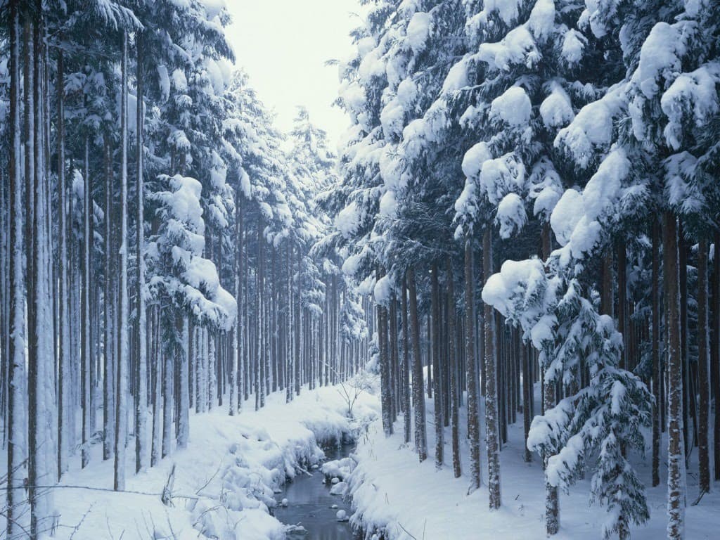 Čeka nas najhladniji decembar u posljednjih sedam godina