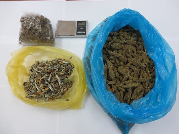 Zadarska policija uhvatila mladića s pola kilograma marihuane i 85 grama halucinogenih gljiva