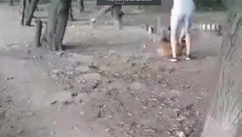 Dolijao nasilnik koji je krvnički tukao psa na Petlovom brdu i slijedi mu kazna