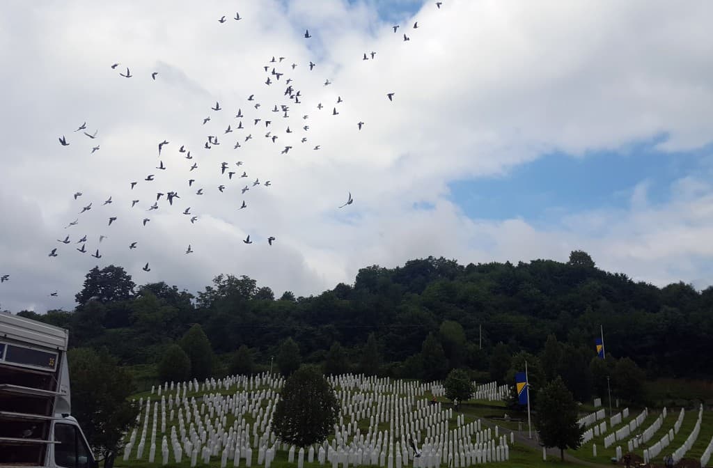U znak sjećanja i podrške ljudima koji su preživjeli genocid, iz Potočara pušteno 950 golubova pismonoša