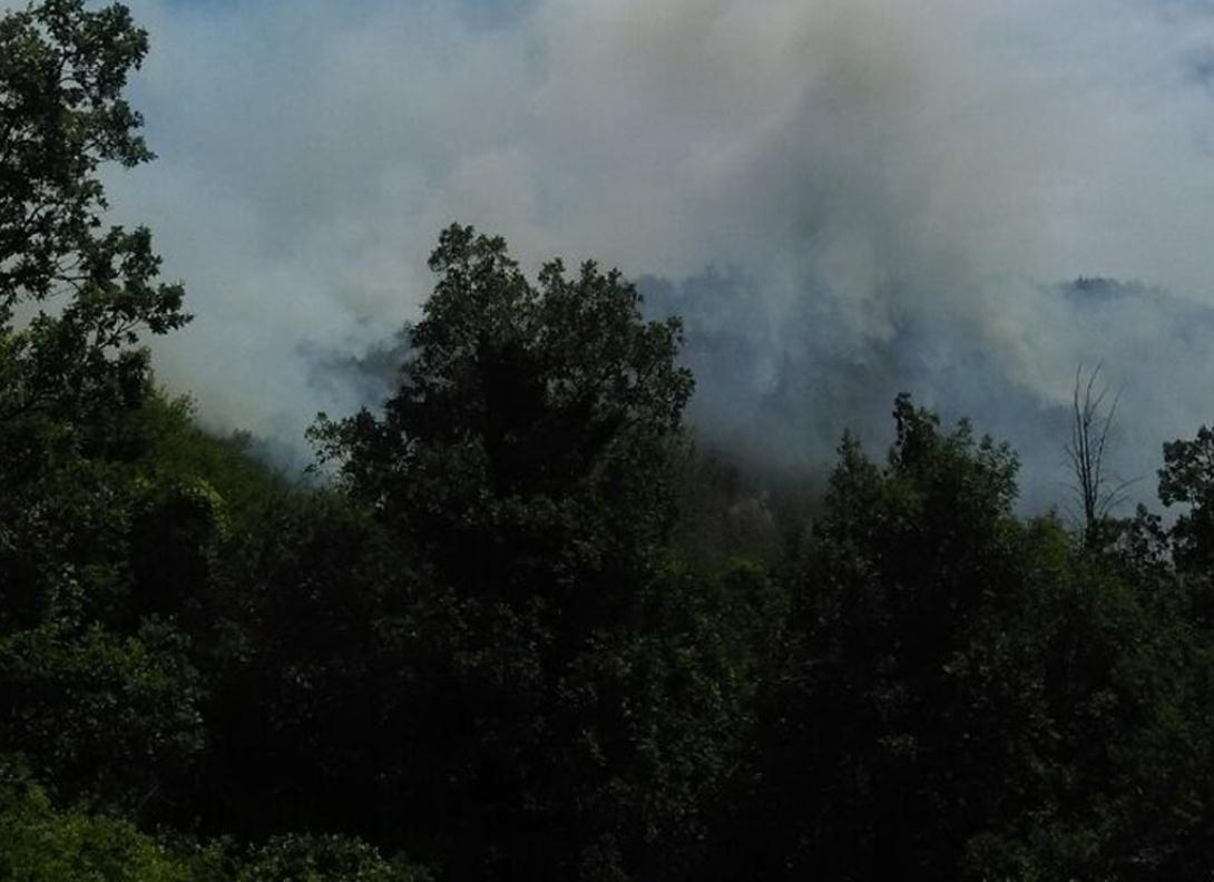 Župa kod Trebinja: Grom izazvao požar