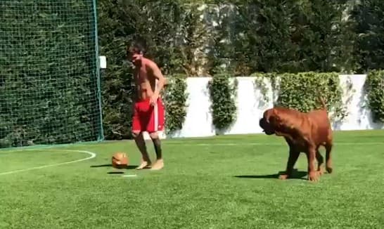 Svi znate šta driblinzima Mesi radi ljudima, a jeste li vidjeli kako u duelu s njim prolazi - pas?