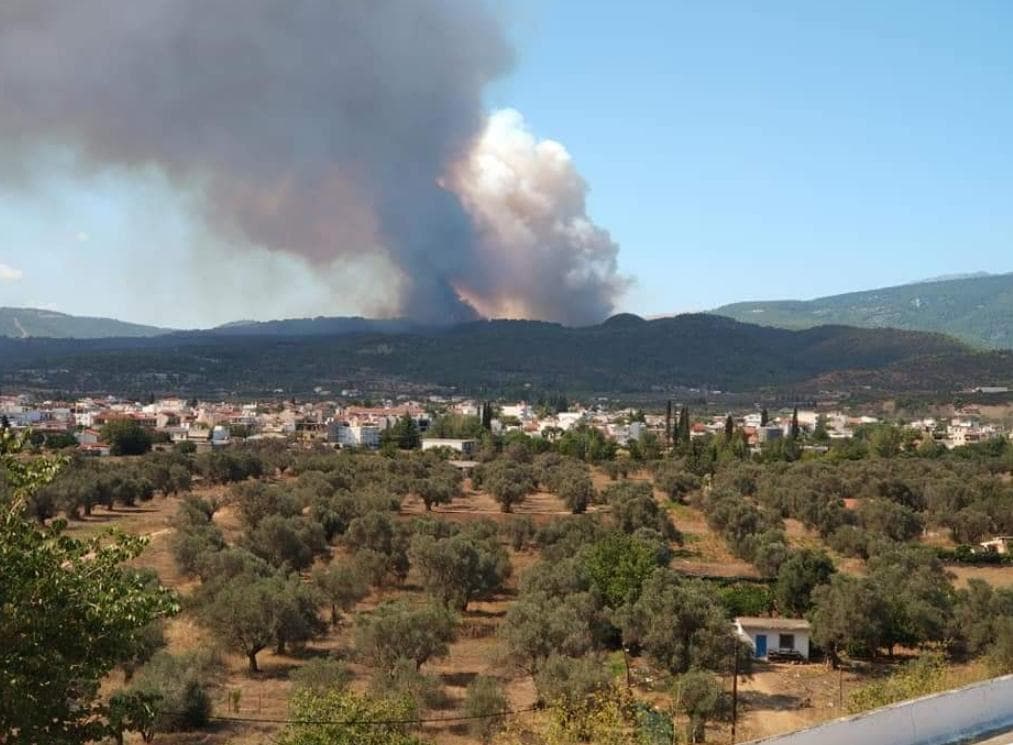 Grčka: Zbog novog požara evakuirana dva sela