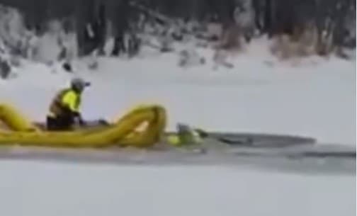 Ontario: Hrabri vatrogasci spasili jelena - Avaz