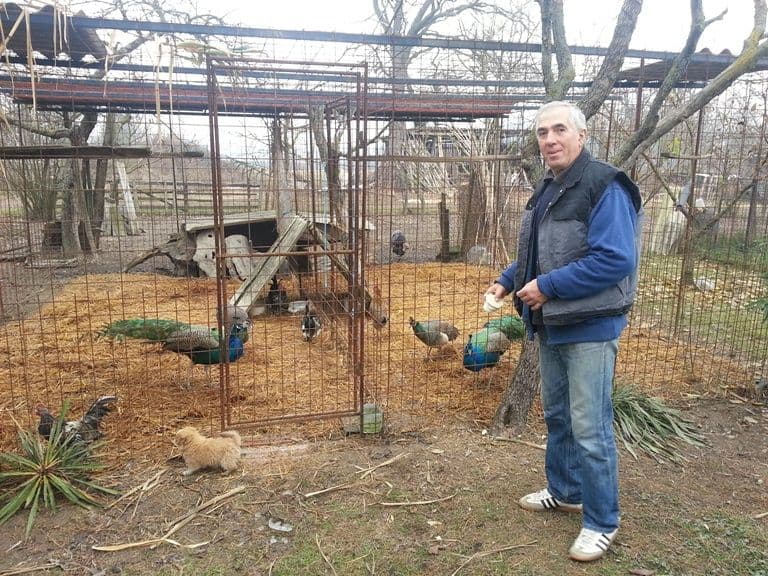 Uz pjesmu 400 ptica za pet minuta se preporodim