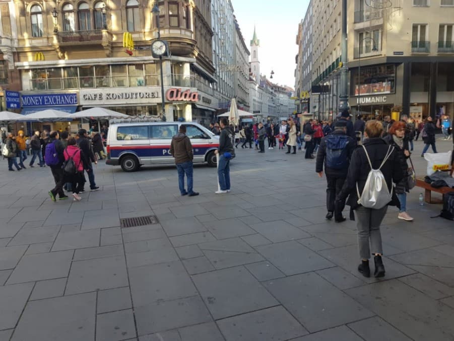 Bosanci i Hercegovci najbrojnija balkanska dijaspora u Austriji