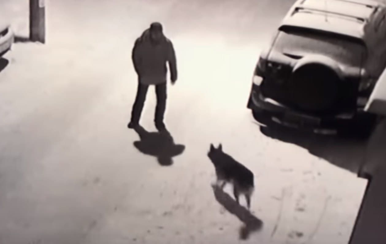 Pogledajte šta se desilo pijancu koji je bez ikakvog razloga htio udariti psa