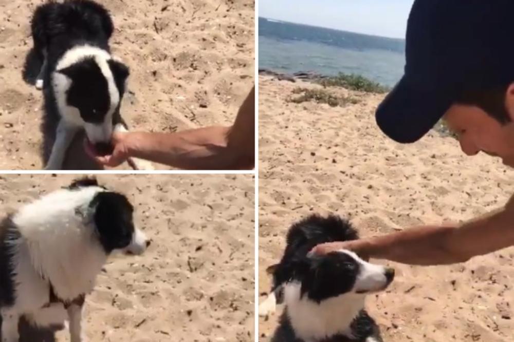 Đoković na plaži u Melburnu naišao na psa pa ga nahranio