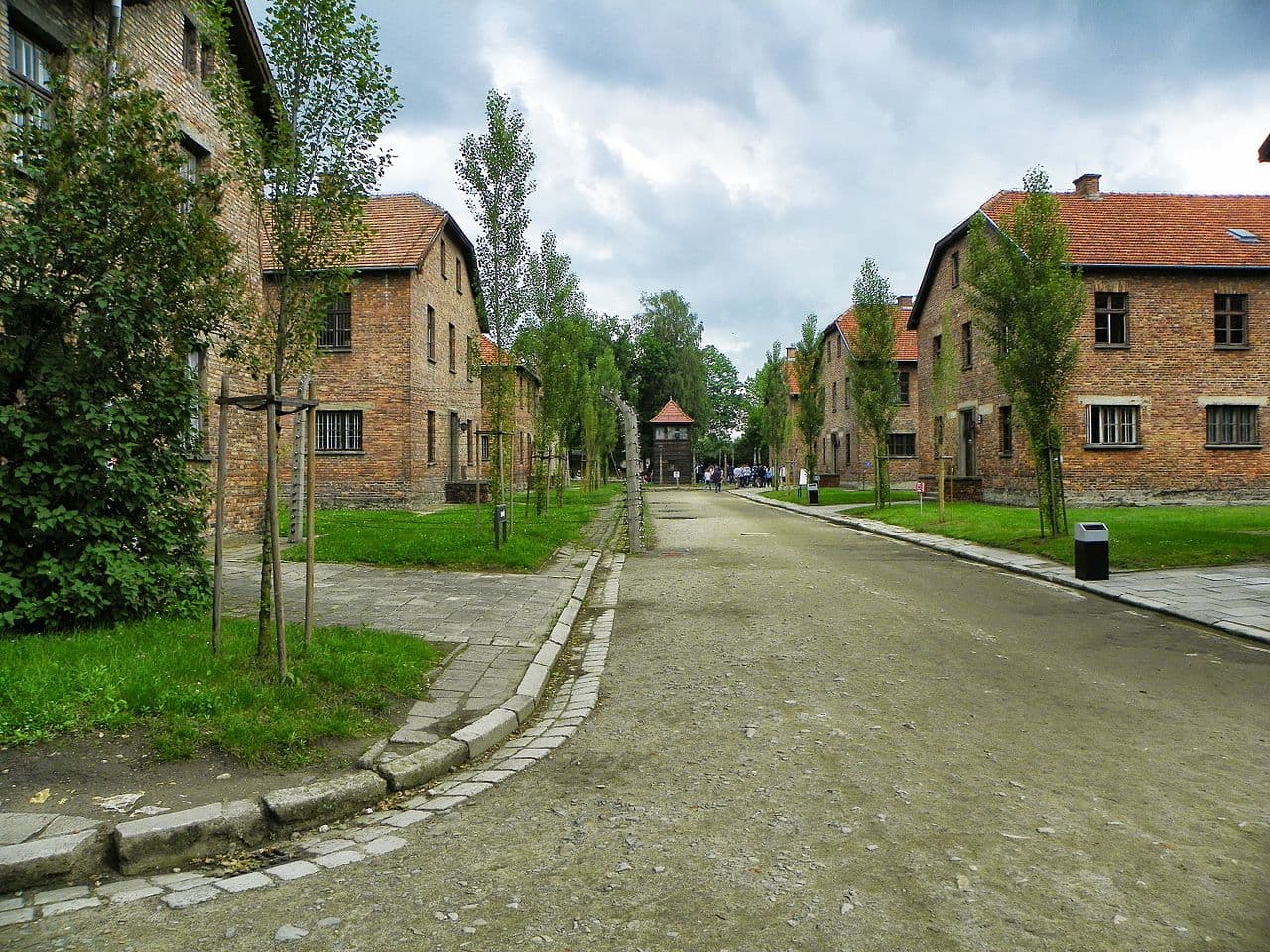 Dnevni avaz