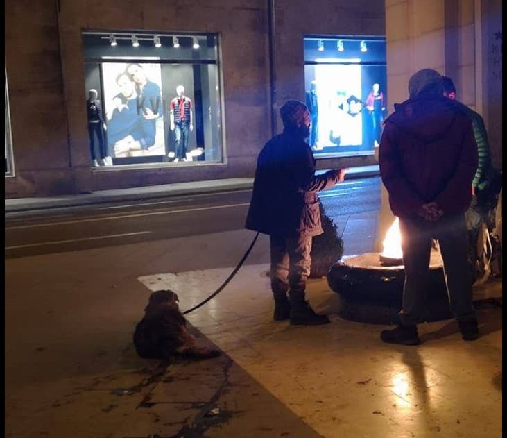 Silovao psa u centru Sarajeva: Životinje misteriozno nestaju, ovaj čovjek viđen je kako ih tuče i seksualno zlostavlja