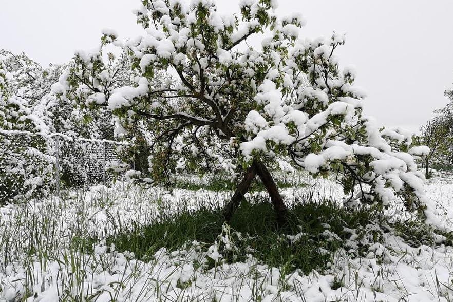 Zabijelila se Krajina: Snijeg napadao u Cazinu, Bosanskom Petrovcu, Prijedoru...