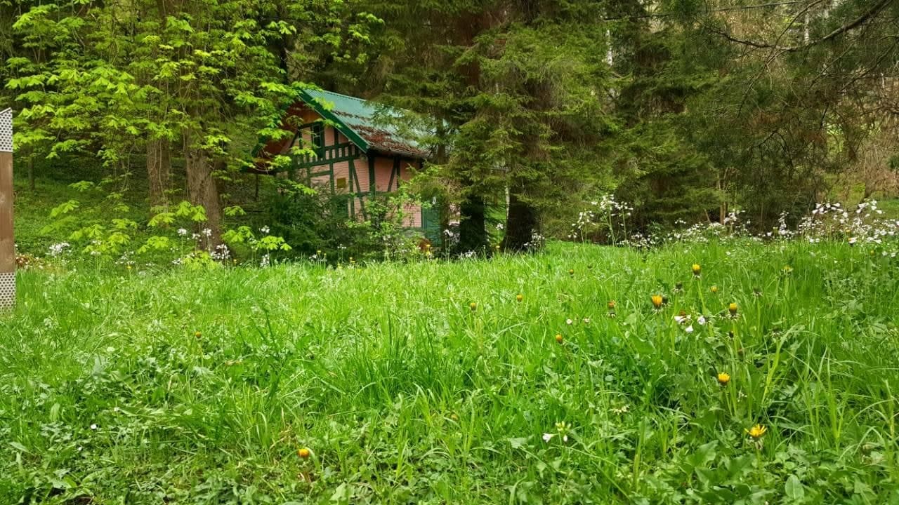 Vrelo Bosne - Avaz