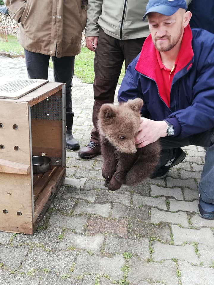 Za Aidu se brine cijeli tim veterinara - Avaz