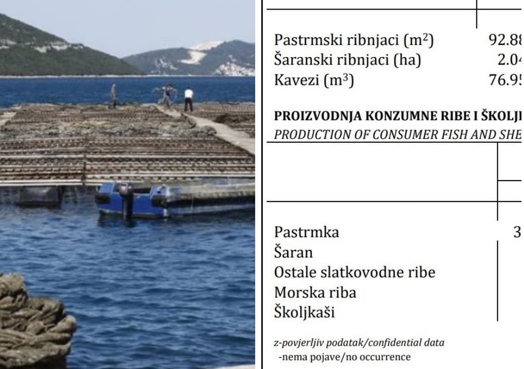 Podatak o morskim ribama u BiH je povjerljiv!