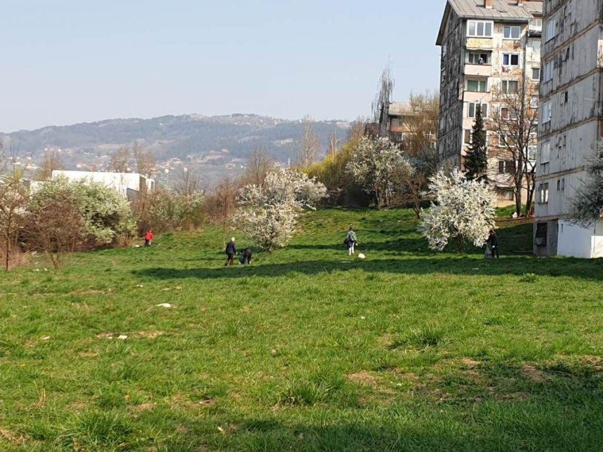 Akcija čišćenja - Avaz