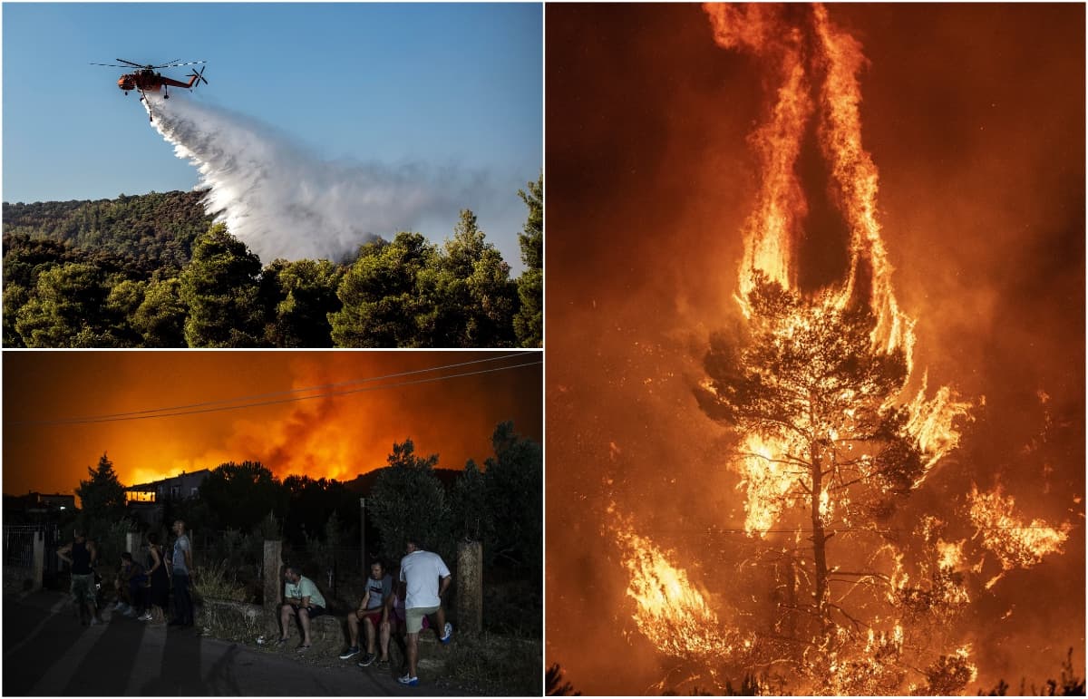 Požari bjesne u Grčkoj: Velika ekološka katastrofa