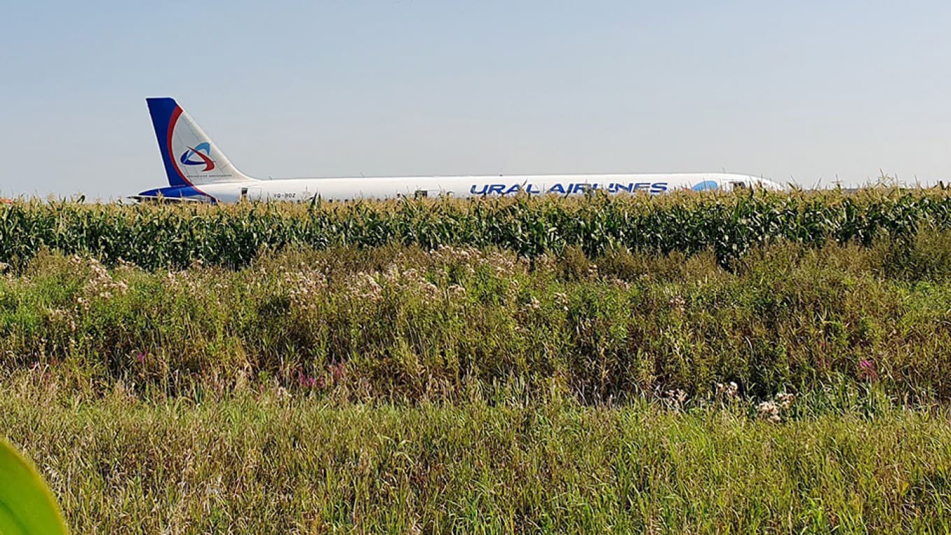 Čudo iznad Ramenska: Avion sletio u polje kukuruza, pri uzlijetanju udario u jato ptica