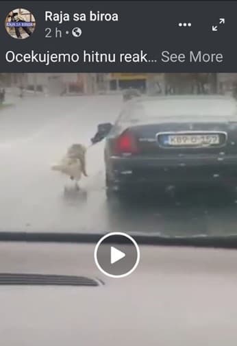 Užas u Sarajevu: Psa vezanog za automobil vukao po putu, pa pokušao objasniti zbog čega je to uradio