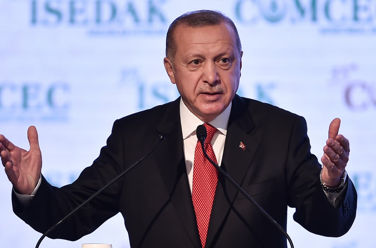 Erdoan: Pozivam cijeli islamski svijet da pomogne Albaniji