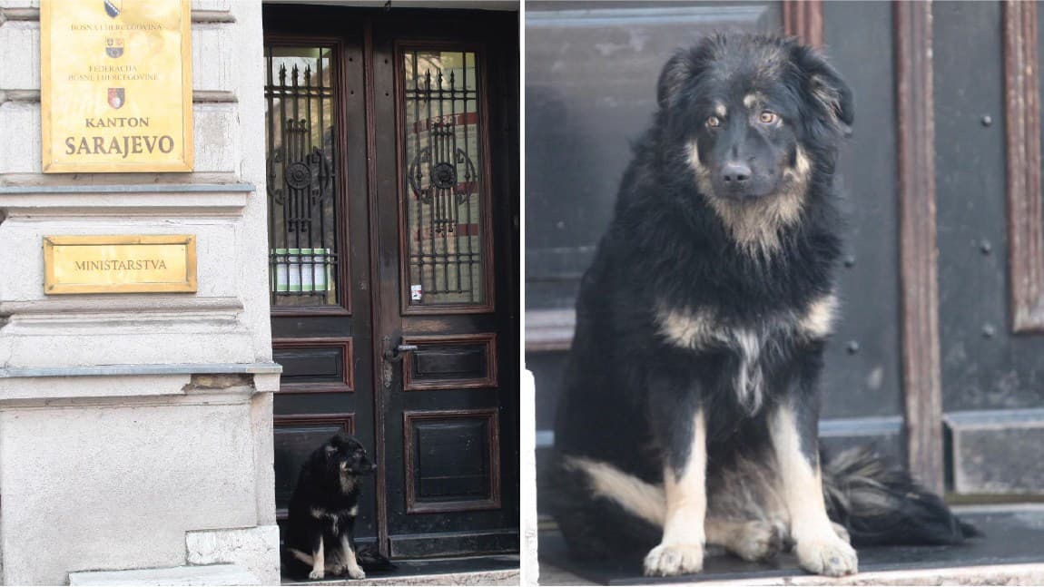 Pas ne da nikome da uđe u zgradu Kantona: Sklonio se od hladnoće