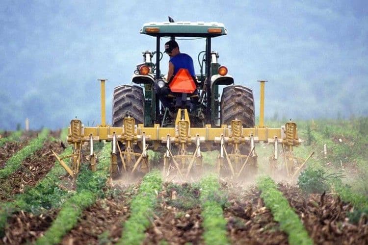 Poljoprivrednici: Proizvest ćemo mi, ali kome ćemo to prodati