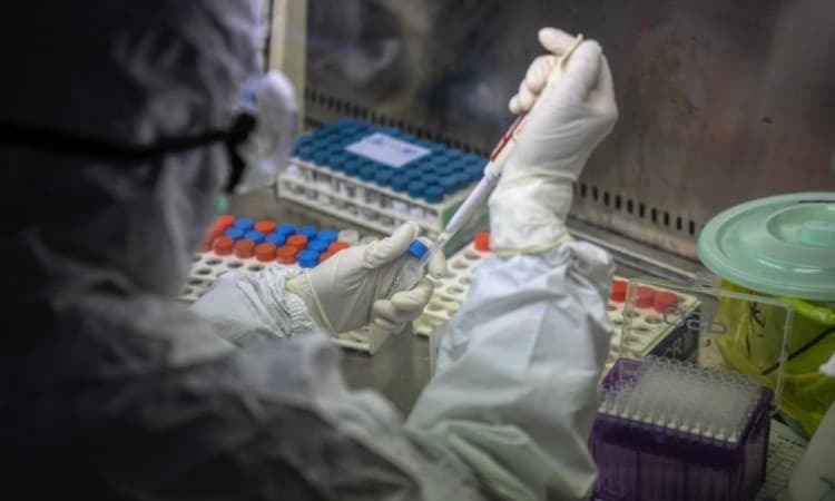 Švedska: Najmanje 11 posto testiranih razvilo antitijela
