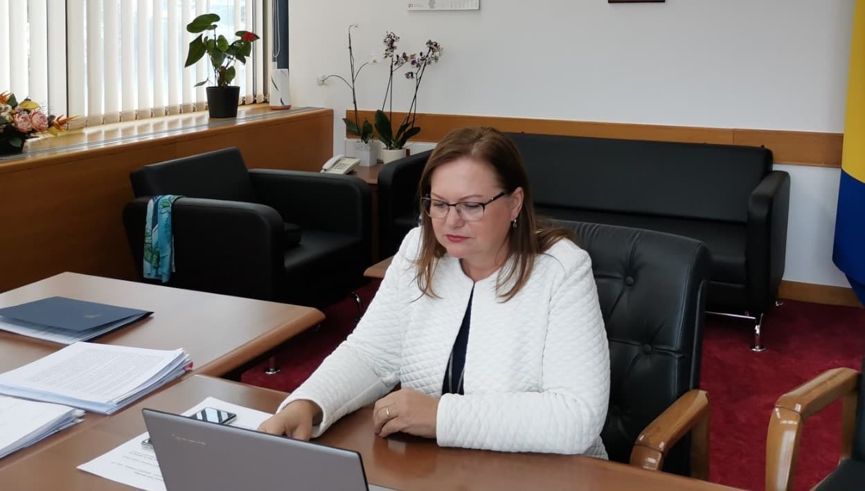 Video sastanak ministara zdravstva zemalja zapadnog Balkana