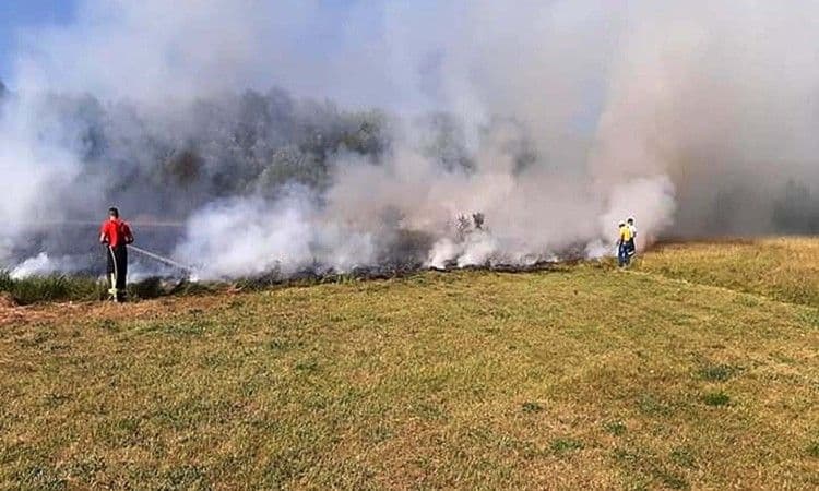 Veliki požar u blizini Livna prijeti i žitnim poljima