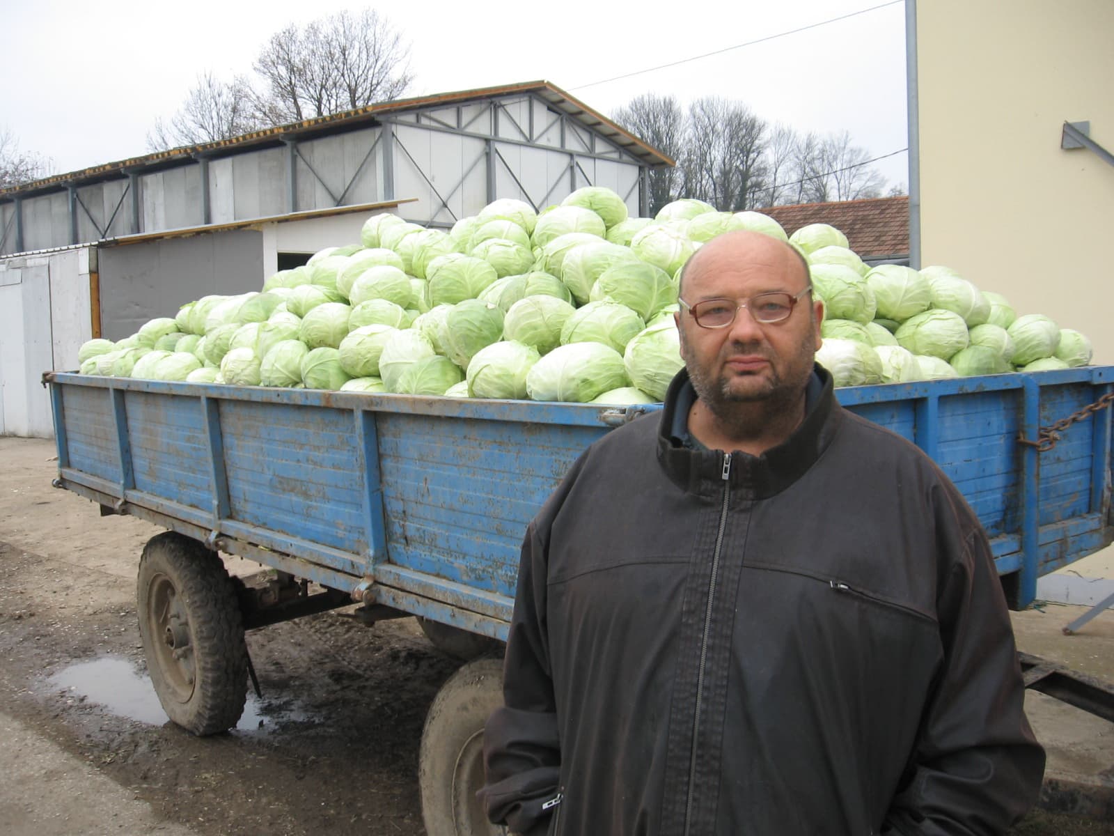Uspješni proizvođači kupusa