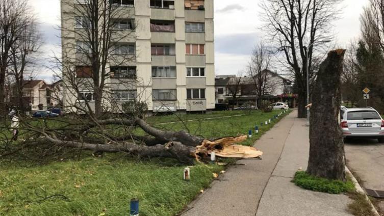 Snažna oluja pogodila dijelove BiH: Srušena stabla, izlile se rijeke, nestalo struje...