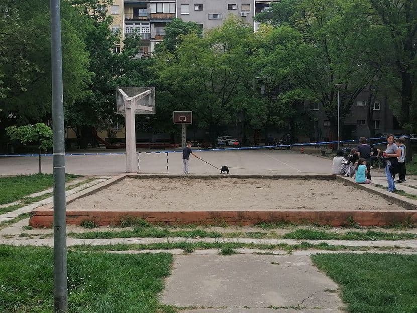 Bomba na igralištu u Novom Sadu: Djeca iz pjeska iskopala ručnu eksplozivnu napravu