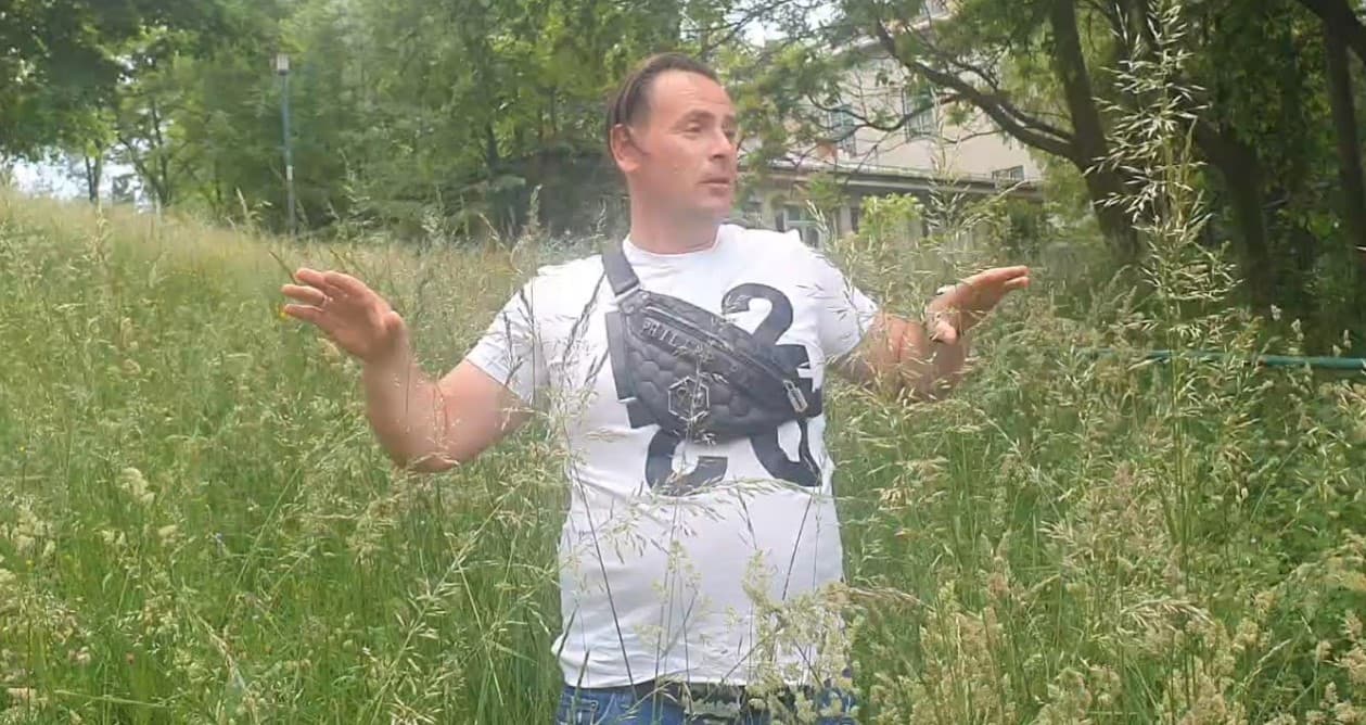 Građani primijetili zmije: Ovo je lijep proplanak, ali za Bjelašnicu, ne za centar grada