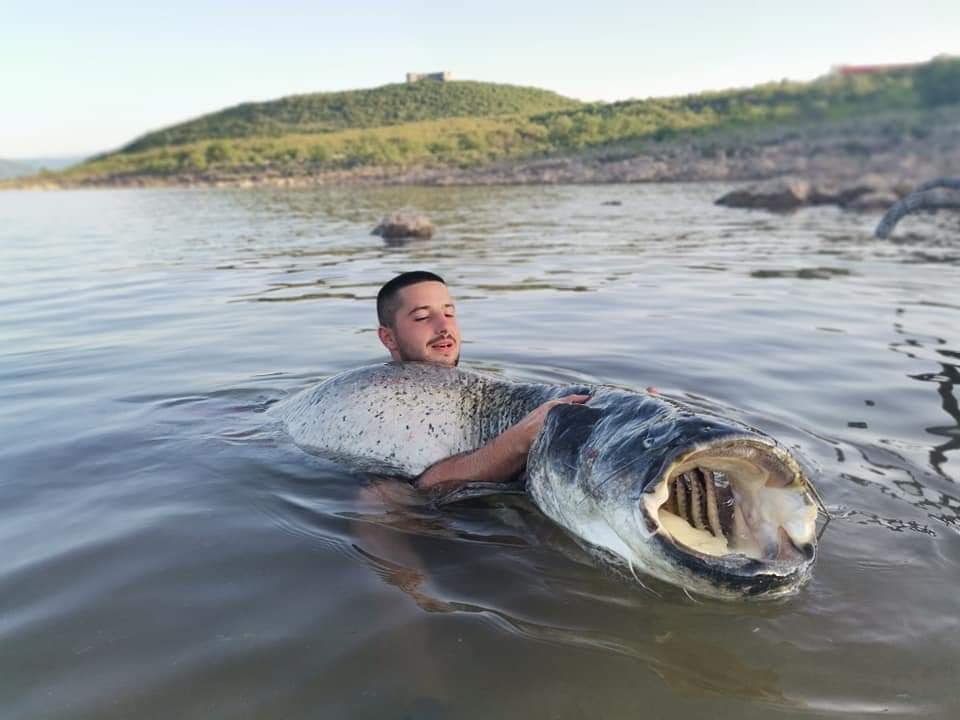 Marko ulovio soma od 60 kilograma: Vukao me 1.500 metara, borili smo se 90 minuta