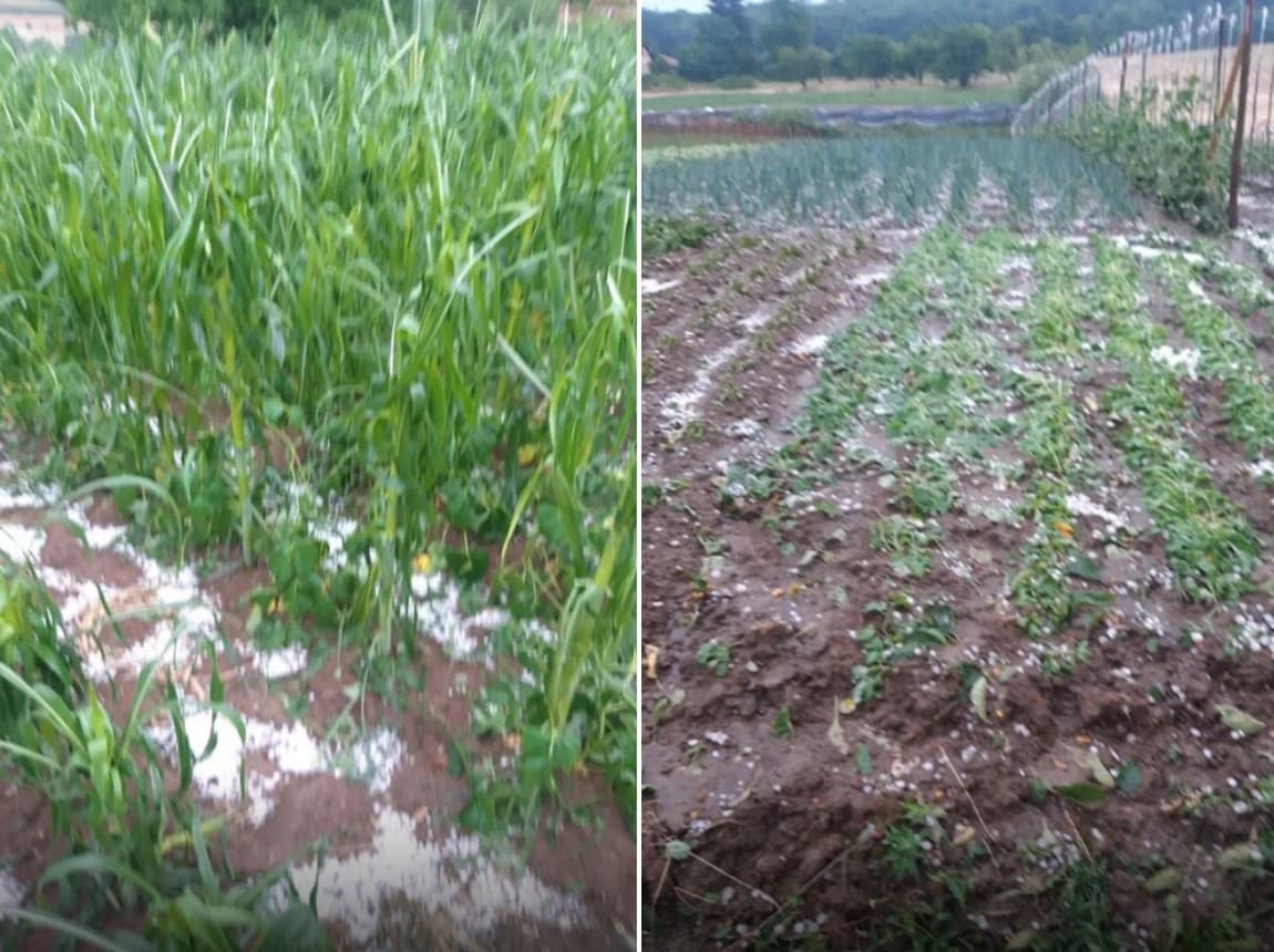 Olujno nevrijeme pričinilo štetu na poljoprivrednim usjevima u Visokom